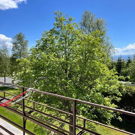 Gerlach Guest house 3*
